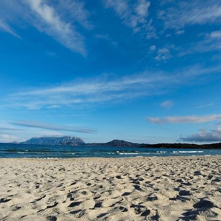 Casa Vacanze Lo Squalo Olbia Ngoại thất bức ảnh