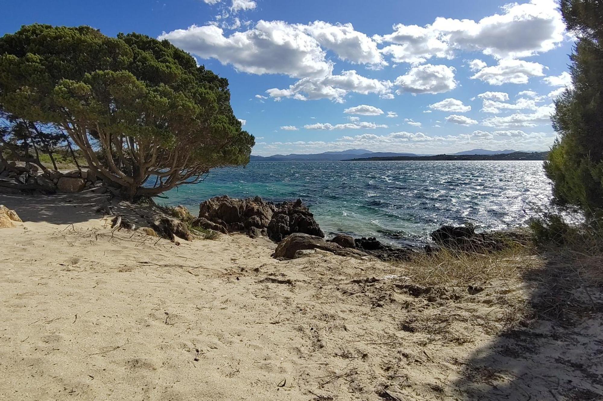 Casa Vacanze Lo Squalo Olbia Ngoại thất bức ảnh